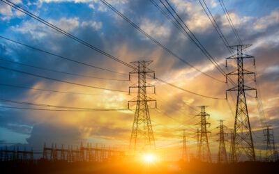 Protecting the Grid … and Your Site